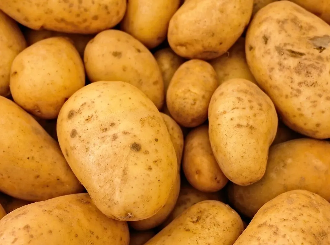 Patate italiane: tra clima e invasioni straniere, il Made in Italy a rischio