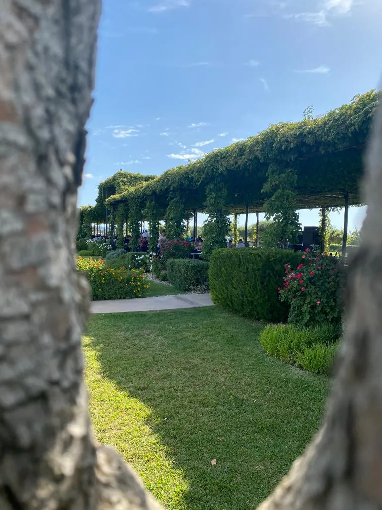 La Dispensa di San Salvatore: un viaggio nel Cilento autentico