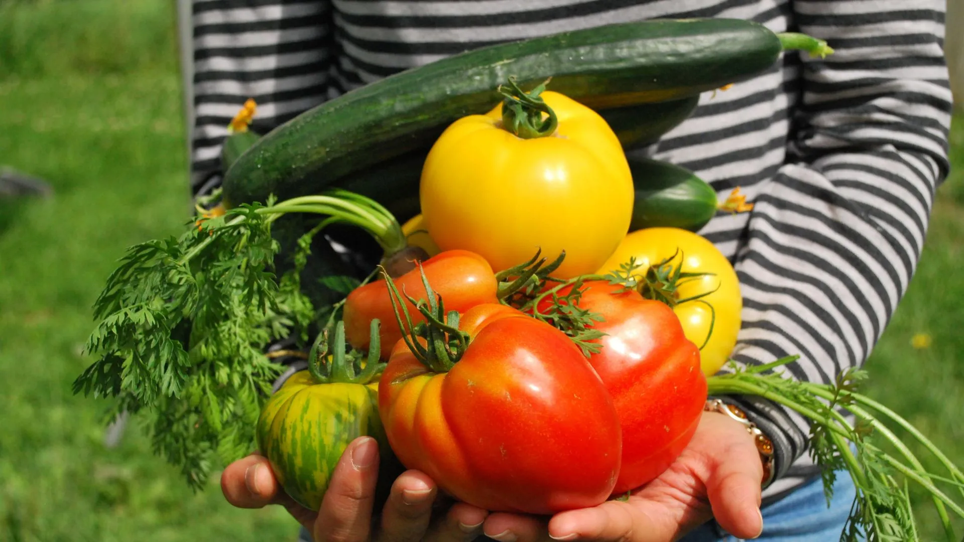Orti Slow Food di Comunità: coltiva il tuo attivismo e il tuo cibo!