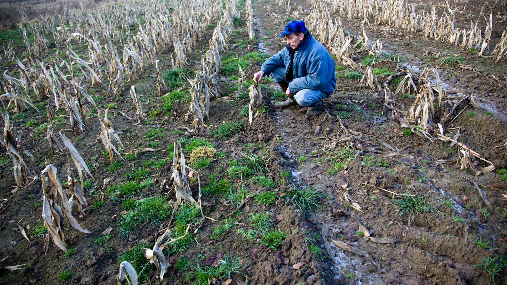 Agricoltura tra siccità e alluvioni: il bilancio drammatico di Confagricoltura