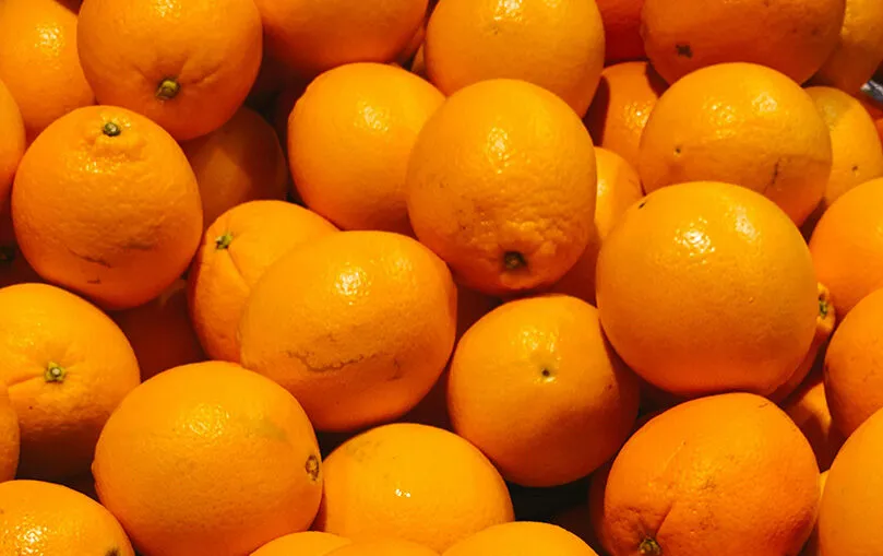 Boom export agroalimentare: il Made in Italy vola all'estero!