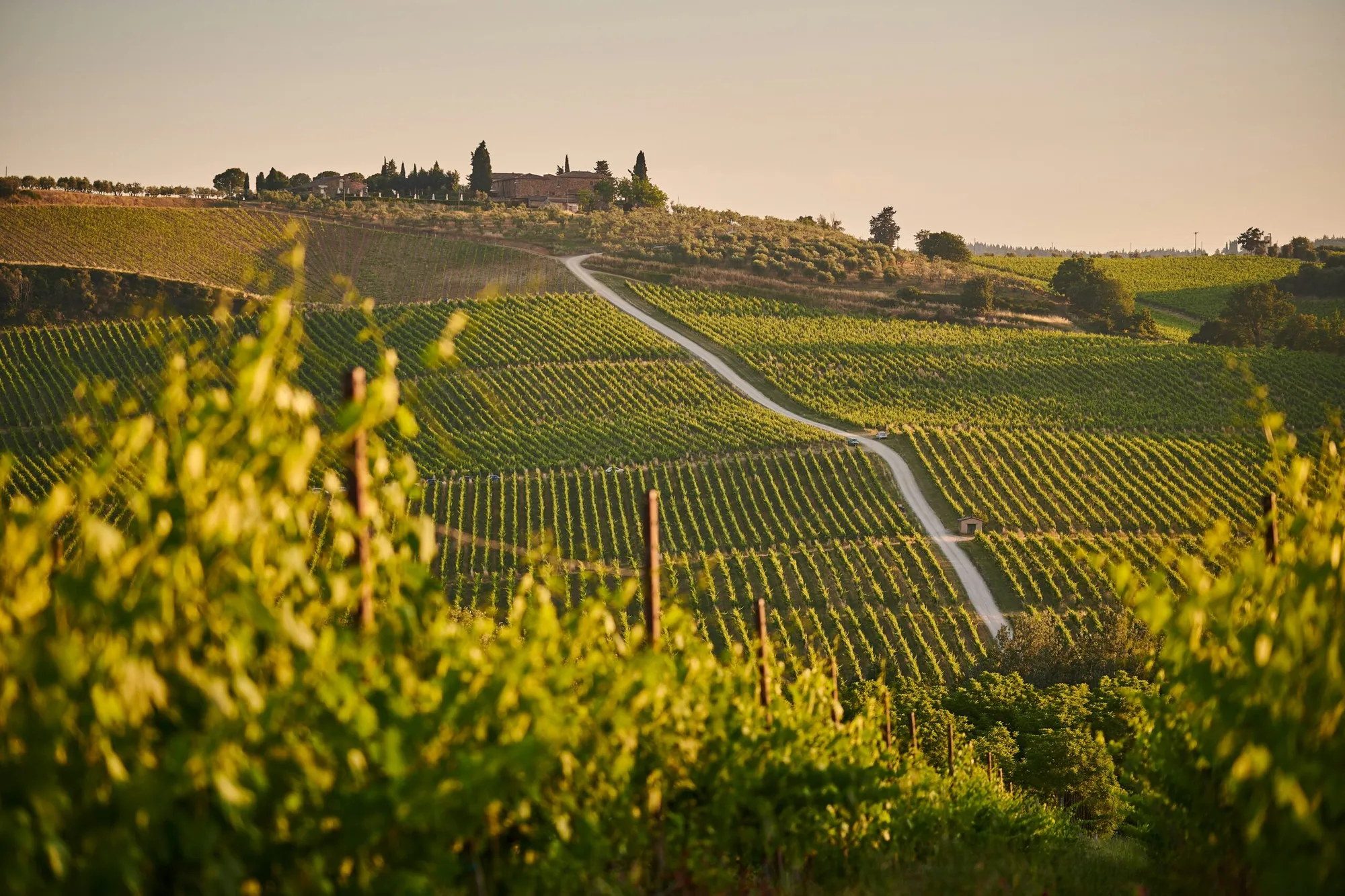 Slow Wine Fair: un evento imperdibile per gli appassionati di vino