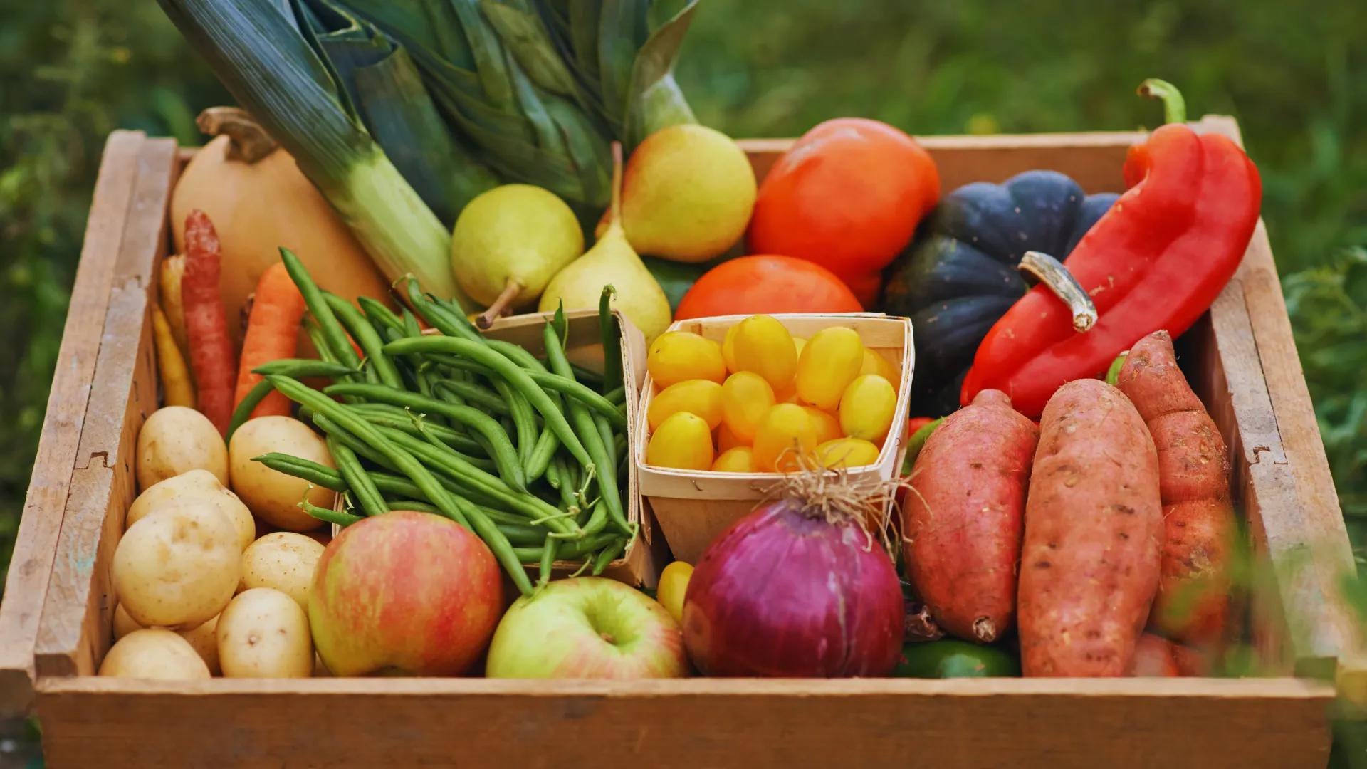 Contro lo spreco alimentare: l'appuntamento è il 5 febbraio 2025