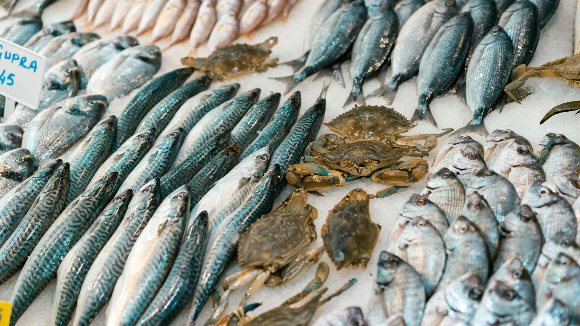 Pesca in crisi: l'Italia chiede un cambio di rotta in Europa