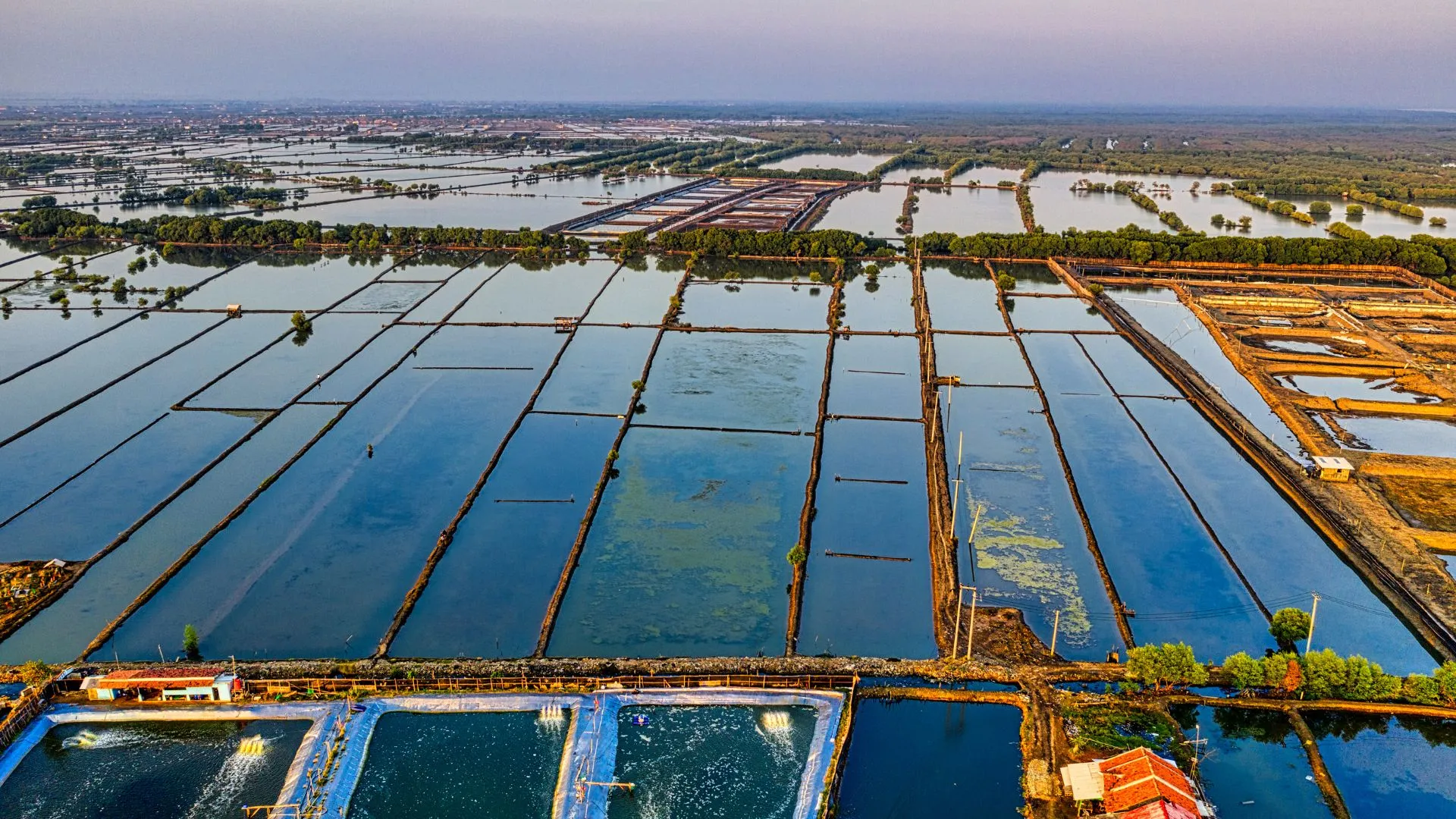 Acquacoltura Italiana: produzione record oltre le 51.000 Tonnellate